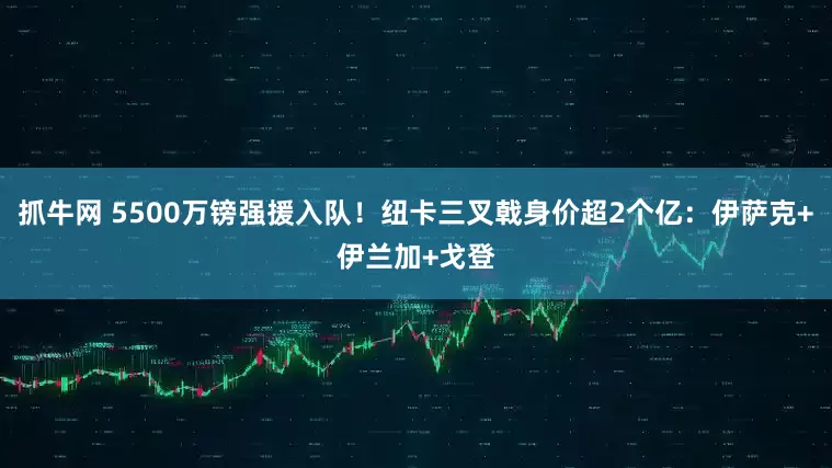 抓牛网 5500万镑强援入队！纽卡三叉戟身价超2个亿：伊萨克+伊兰加+戈登